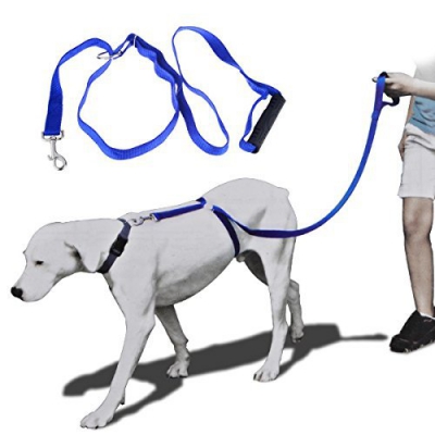 Поводок Для Собак The Instant Trainer Leash более 30 кг ― "Vgik - Вжик, магазин полезных вещей."