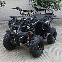 Квадроцикл мотор 1000W черный ― "Vgik - Вжик, магазин полезных вещей."