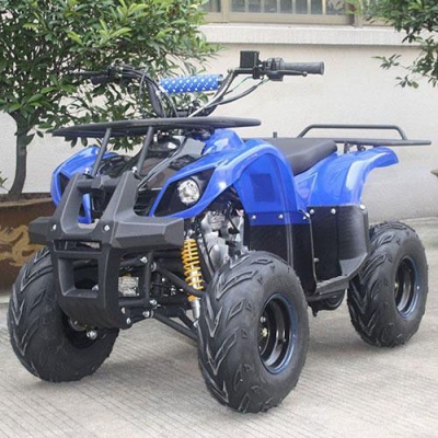 Квадроцикл мотор 1000W синий ― "Vgik - Вжик, магазин полезных вещей."