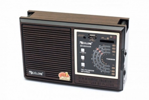 Радиоприемник GolonRX-9933UAR ― "Vgik - Вжик, магазин полезных вещей."